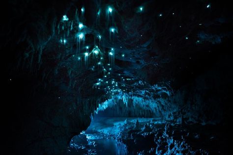 Waitomo Glowworm Cave Imbues Our Boring World With Otherworldly Illumination -  #glow #joemichaelmedia #photography Glow Worm Cave, Limestone Caves, Dark Cave, Glow Worm, Cave System, Time Lapse Photography, Long Exposure Photography, Exposure Photography, Long Exposure