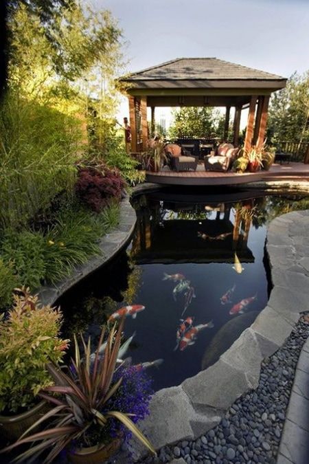 Fish In The Water, Kolam Koi, Fish Pond Gardens, Taman Air, Building A Pond, Garden Pond Design, Outdoor Gazebo, Small Pond, Fountains Backyard