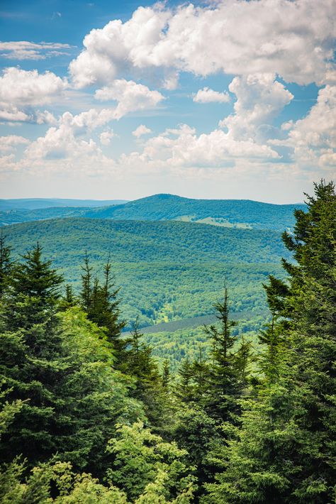 The Monongahela National Forest in West Virginia  #BeautifulNature #NaturePhotography #Photography #EarthPorn #Travel #Nature #Earth West Virginia Pictures, Virginia Forest, Nature Landscape Pictures, Monongahela National Forest, West Virginia Mountains, Virginia Photography, Adventure Zone, Mountain Pictures, National Photography