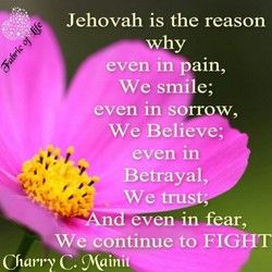 Quotes about Jehovahs Witnesses (42 quotes) Jehovahs Witnesses, Jw Life, Jehovah Quotes, Encouraging Thoughts, Jehovah Witness Quotes, Jehovah Witness, Wise Woman, Family Worship, Spiritual Encouragement