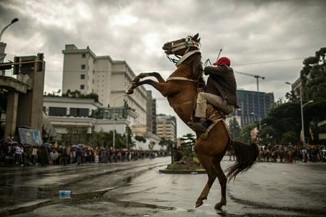 2018 Oromo People, Horse Photography, East Africa, Horse Rider, Horseback Riding, Horse Lover, Horse Riding, Ethiopia, Brave