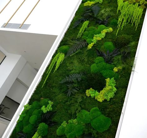 🌿 Nature-Inspired Art: Moss Panels 🌿Bring the tranquility of nature into your home! Our meticulously designed moss panels not only add natural aesthetics to your interiors but also support sustainability with their eco-friendly composition. Each piece is handcrafted, reflecting the unique beauty of nature.🌱 Features:100% natural mossNo water or maintenance requiredHypoallergenic and free from toxic substancesLong-lasting and durable🌍 Why Moss Art? Experience the calming effect of nature in yo... Moss Panels, Natural Aesthetics, Visit Usa, Moss Art, Sustainable Art, Art Experience, Unique Beauty, Green Design, Green Living