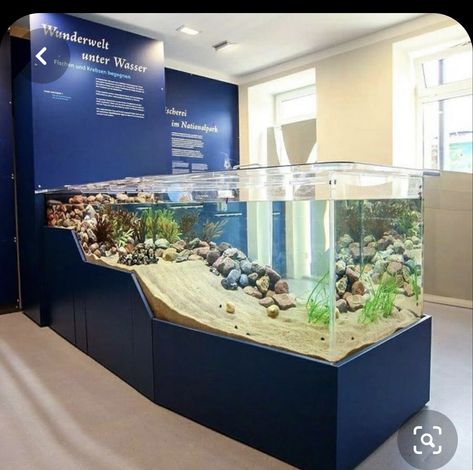 Fish Tank In Floor, Big Aquarium Ideas, Cool Fish Tank Ideas, House Aquarium, Turtle Aquarium, Aquarium Garden, Amazing Aquariums, Fish Tank Terrarium, Cool Fish Tanks