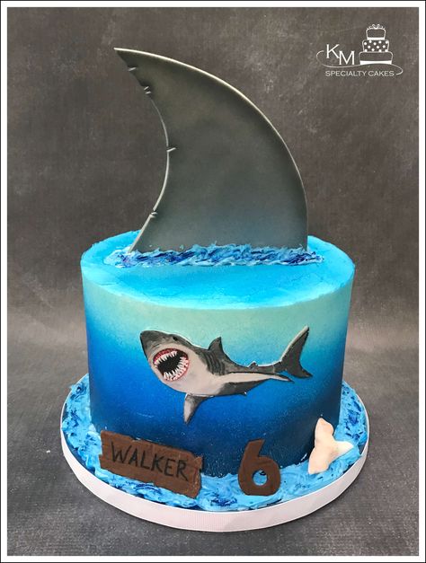 Megladon Cake, Simple Shark Cake, Shark Themed Birthday Cake, Shark Birthday Cakes For Boys, Hammerhead Shark Cake, Shark Birthday Party Cake, Shark Cakes For Kids Boys, Shark Cakes For Kids, Shark Fin Cake