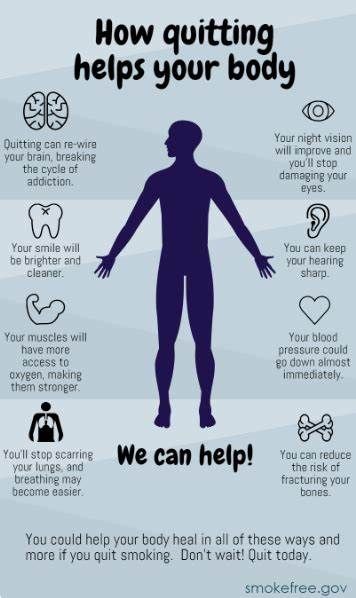 Info Poster, Body Healing, I Quit, The Body, Health Benefits, Fitness Motivation, Benefits, Thank You, How To Plan