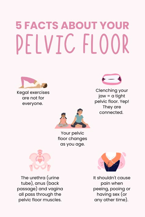 Your pelvic floor muscles have a big job to do. They support the pelvic organs, they help create inner stability for movement, they manage pressures coming from above, they have to open to allow a baby to pass through, they house sphincters that control bowel and bladder function, and they make s*x feel really great! #pelvicfloorhealth #pelvicfloordysfunction #pelvicfloor #pelvicfloor #pelvichealth #pregnancy #womenshealth #pelvicpain #physiotherapy #womensphysio #womenshealthphysio Pelvic Floor Benefits, Yoga For Pelvic Floor For Women, Pelvic Floor Physiotherapy, Pelvic Floor Pt, Pelvic Floor Health, Relaxing Pelvic Floor Muscles, Pelvic Floor Therapy For Women, Hypertonic Pelvic Floor, Pelvic Physiotherapy