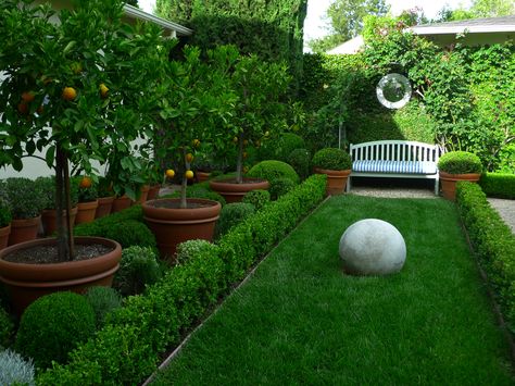 I want this in my front yard instead of foundation plantings. Fruit trees!! Fruit Trees Garden Design, Fruit Garden Design, Tree Garden Design, Fruit Trees Backyard, Potted Fruit Trees, Fruit Tree Garden, Trees For Front Yard, Small Front Yard Landscaping, Gardening Landscaping