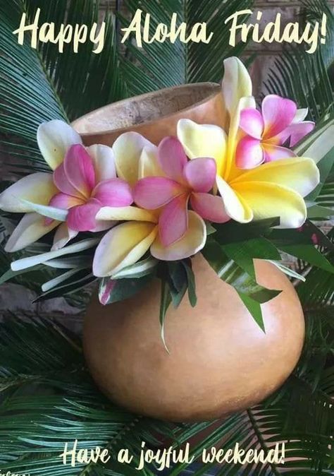 Happy 39 Birthday, Tropical Island Decor, Good Morning Friday Images, Happy Aloha Friday, Hello Thursday, Friday Wishes, Hawaiian Dancers, Happy Day Quotes, Good Morning Friday