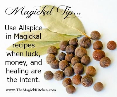 Magickal Tips – Page 2 – The Magick Kitchen Allspice Witchcraft, Magickal Tips, Pagan Lifestyle, Spiced Cookies, Magic Kitchen, Magickal Herbs, Witch Herbs, Witch Tips, Healing Spells