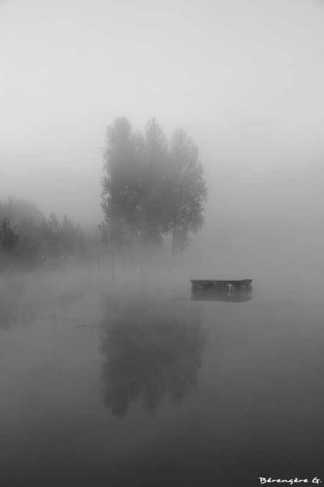 Brouillard Country Roads, Road, Nature