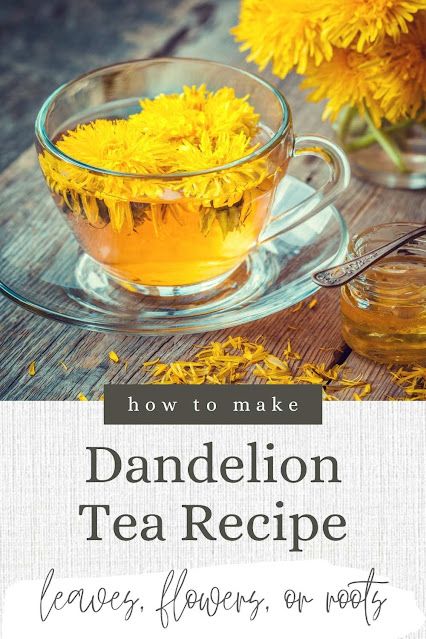 How to make a homemade dandelion tea recipe. This also has dandelion tea benefits. It's anti inflammatory, detox, and diuretic. This easy dandelion tea detox recipe can help flush toxins from your body. Make DIY dandelion tea with roots, flowers, or leaves. Also has where to buy the best dandelion tea. Dandelion Tea Recipe How To Make, Dandelion Root Tea Recipe, Dandelion Tea Benefits, Dandelion Tea Recipe, Diy Dandelion, Healthy Board, Dandelion Benefits, Dandelion Root Tea, Inflammatory Recipes