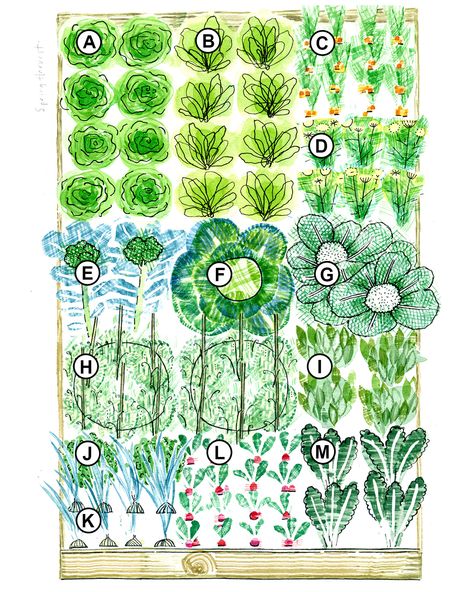 Raised Bed Plans, Vegetable Garden Planner, Tattoo Plant, Vegetable Beds Raised, Vegetable Garden Raised Beds, Building A Raised Garden, Vegetable Garden Planning, Garden Plan, Fall Vegetables