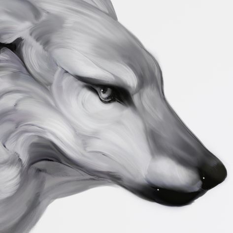 (20) 主页 / Twitter Wolf Skull Reference, Black And White Wolf, Mystic Animals, Drawing Wolves, Drawing Effects, Digital Art Brushes, Art Character Inspiration, Wolf Reference, Animal Oc