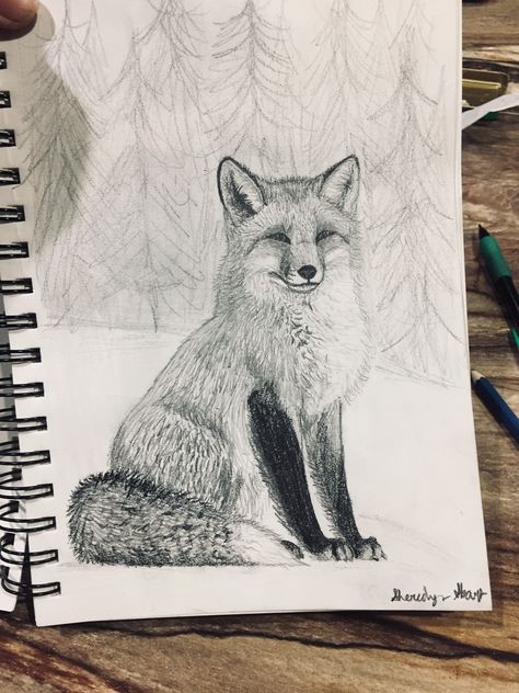 Fox Drawing Pencil, Fox Pencil Drawing Sketch, Fox Drawing Realistic, Realistic Fox Drawing, White Fox Drawing, Drawing Fox Sketches, Fox Drawings, Fox Pencil Drawing, Fox Drawing Sketches