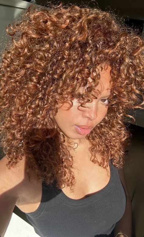 Honey Ginger Curly Hair, Long Dyed Curly Hair, Ginger Brown Highlights Curly Hair, Honey Copper Brown Hair, Honey Caramel Curly Hair, Cinnamon Brown Curly Hair, Copper Brown With Highlights, Curly Hair Honey Brown, Cherry Brown Curly Hair