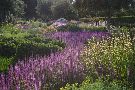 Mass Planting, Perennial Gardens, Piet Oudolf, Planting Design, Simple Garden, Rose Gardens, Dry Garden, Garden Nursery, Plant Combinations