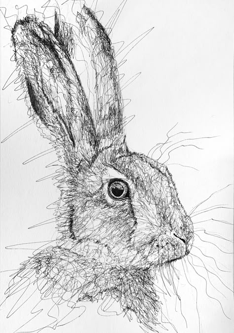 Animal Scribble Art, Scribble Art Doodles, Pen Scribble Art, Scribbling Drawing, Scribble Drawings, Hare Drawing, Hare Illustration, Charcoal Artwork, Watercolor Pencil Art