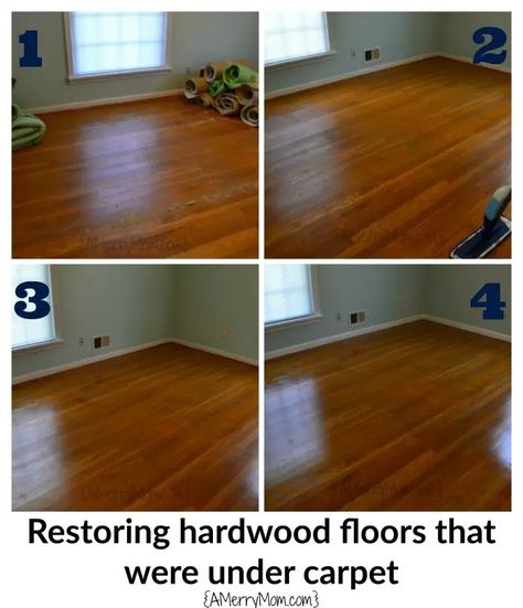 Restoring hardwood floors under carpet - without refinishing the wood - A Merry Mom Restore Wood Floors Without Sanding, Hardwood Under Carpet, Polished Wood Floors, Restoring Wood Floors, Restore Hardwood Floors, Restoring Hardwood Floors, Original Wood Floors, Original Hardwood Floors, Modern Wood Floors