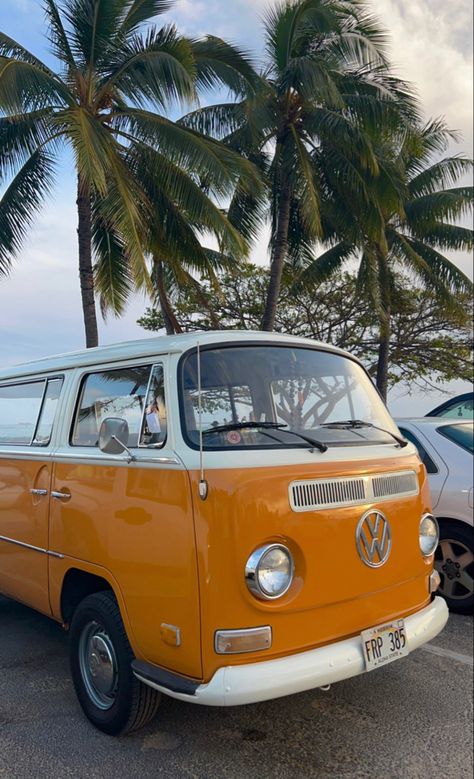 Palm Trees Aesthetic Wallpaper, Trees Aesthetic Wallpaper, Palm Trees Aesthetic, Hawaii Wallpaper, Hawaii Palm Trees, Vintage Volkswagen Bus, Vintage Vw Camper, Trees Aesthetic, Scooters Vespa