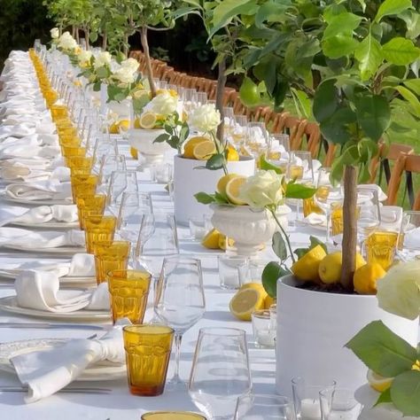 Villa Catignano on Instagram: "Sensational Pasta Party Among the Lemon Trees at @villa_catignano 🌿❤️🍋 11th June 2024  Nestled in the heart of our Italian Garden in Tuscany,  our beautiful couple Asiya and Aafaq welcomed their guests with a delightful Dinner. A perfect start to their unforgettable Big Days ahead! 🇮🇹🍋🍝  📹Photos & Video: @villa_catignano @marmoross  @villa_catignano @chechic_weddings @class_ricevimenti   @bianchi_fiori @audiovisualsiena   @asiyafkhan ❣️🫶 @wakipaki19   #weddingvenues #brides #villacatignano #luxurywedding  #italiainunoscatto #weddingday #weddingphotos #weddingplanning #weddingflorals #weddingcandles #weddingitaly #italyweddings #italywedding #weddingcenterpiece #weddingflowers #weddingtable #weddinggoals #weddingtuscany #weddingdetails #wedding..." Pasta Party, Lemon Trees, Villa Wedding, Italian Garden, Italian Villa, Welcome To The Party, Wedding Dinner, Wedding Goals, June 2024