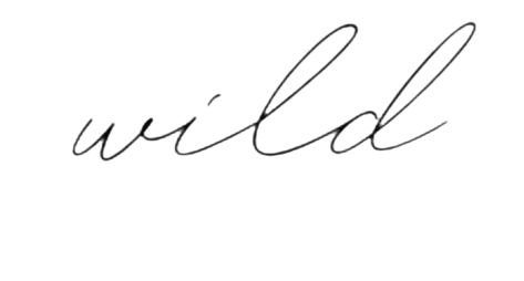 Wild Word Tattoo, Wild Tattoo Word, Tattoo 2023, French Tattoo, Cursive Tattoos, Wild Tattoo, Tattoo Font, Fine Line Tattoos, Word Tattoos