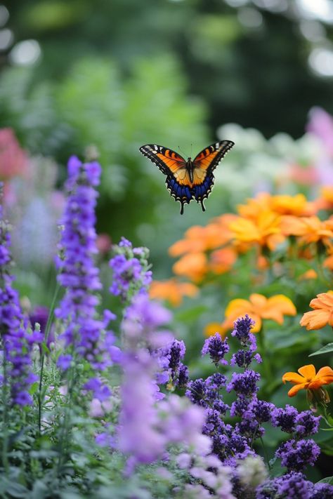 How to Start a Butterfly Garden in August is a delightful and rewarding project for any gardener! 🦋🌼 Filled with tips on choosing the right plants and creating a welcoming habitat, this guide is a perfect blend of beauty and practicality. Easy to follow and bursting with butterfly-friendly ideas, How to Start a Butterfly Garden in August is ideal for attracting these charming pollinators and enhancing your garden’s vibrancy.🌿✨ #ButterflyGarden #PollinatorFriendly #GardenInspiration Butterfly Garden Aesthetic, Juliette Tattoo, Butterflies In Garden, Fantasy Place, Butterfly Gardens, Garden Butterfly, Beautiful Flowers Garden, Fantasy Places, Butterfly Garden