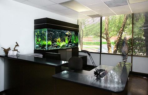 Black aquarium for the office #DIYmarketing #Officespace Modern Fish Tank, Amazing Aquariums, Cool Fish Tanks, Fish Tank Design, Aquarium Ideas, Home Aquarium, Cool Fish, Aquarium Design, Aquarium Decorations