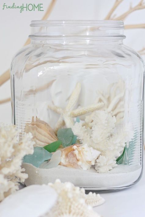 25 Inspiring Homemade DIY Terrarium Ideas You Can Make Today Beach Terrarium, Shell Projects, Summer Deco, Cottage Market, Seaside Decor, Beachy Decor, Beach Stuff, Beach Diy, Shell Decor