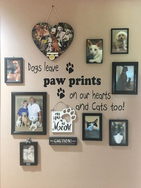 Pet Memorial Display Ideas, Pet Photo Wall Ideas, Pet Picture Wall Ideas, Dog Picture Ideas Decor, Pet Pictures Wall, Dog Picture Wall, Dog Wall Decor Ideas, Pet Collage Wall, Foster Dog Picture Wall