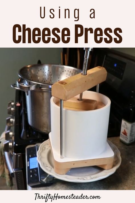 Goat Products, Homemade Cheeses, Making Cheese At Home, Raw Dairy, Cheese Press, Healthy Cheese, Making Cheese, Spreadable Cheese, Cheese Factory