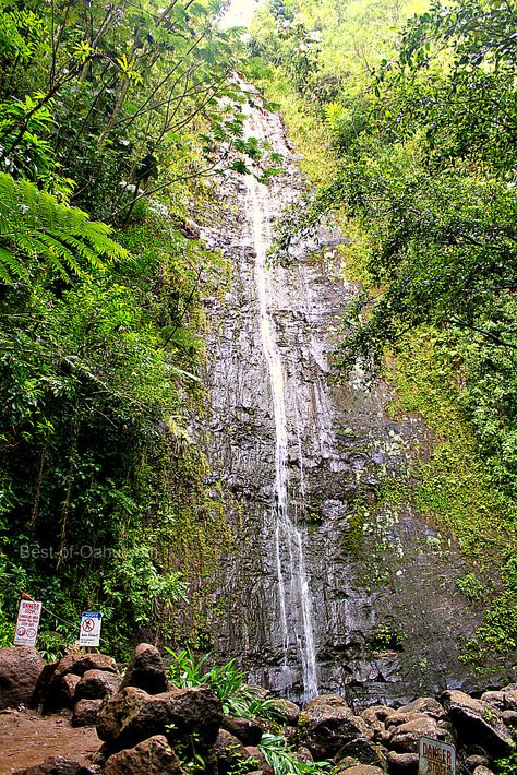 Manoa Falls Trail Manoa Falls Oahu, Oahu Waterfalls, Manoa Falls, Jungle Hike, Oahu Vacation, Oahu, The Rock, Places To Go, Hawaii