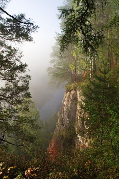 Siberian Forest, Russia Travel, To Infinity And Beyond, Places Around The World, Amazing Nature, Beautiful World, Beautiful Landscapes, The Great Outdoors, Wonders Of The World