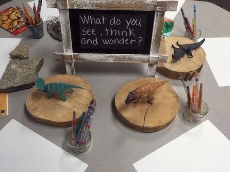 Inquiring Minds: Mrs. Myers' Kindergarten: Dinosaurs: The Beginning Investigations Dinosaur Provocations, Dinosaur Inquiry, Dinosaurs Eyfs, Dinosaurs Kindergarten, Natural Classroom, Dinosaur Display, Dinosaur Classroom, Dinosaur Activities Preschool, Reggio Emilia Classroom