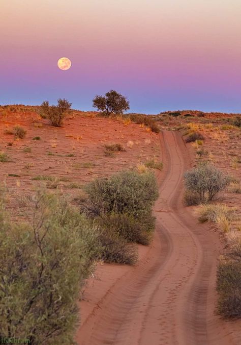 Kalahari, South Africa 📷 TF de Bruin South Africa Road Trips, South Africa Vacation, Africa Vacation, Desert Aesthetic, Africa Photography, Africa Do Sul, Future Travel, Beautiful Sky, Beautiful Places To Travel