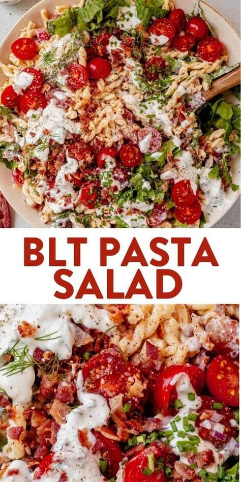 Bacon, lettuce, and tomato are a few of the delicious ingredients in this easy BLT pasta salad. It’s almost no-cook and comes together in minutes. You get all of the creamy, tomato, crunchy bacon flavors as the BLT sandwich, but in pasta salad form. Make this delicious side dish for summer BBQs, potlucks, or picnics! Salads Green, Creamy Pasta Salad Recipe, Blt Pasta Salad, Creamy Pasta Salads, Blt Pasta, Resep Pasta, Blt Pasta Salads, Pasta Salad Dressing, Grilled Bbq Chicken