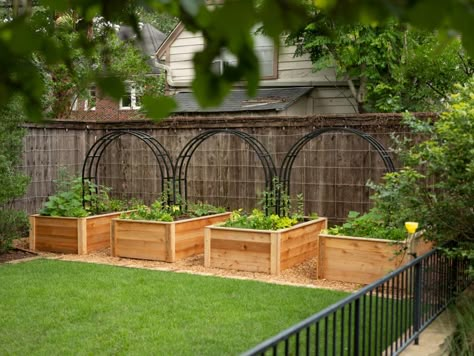 The Complete Guide to Raised Beds • Gardenary Raised Flower Bed With Trellis, Front Yard Planter Ideas Raised Beds, Backyard Ideas With Raised Garden Beds, Four Raised Garden Beds, Vegetable Gardens For Small Yards, Raised Garden Beds Next To House, Raised Beds With Arches, Gardens With Raised Beds, Raised Beds Against Fence