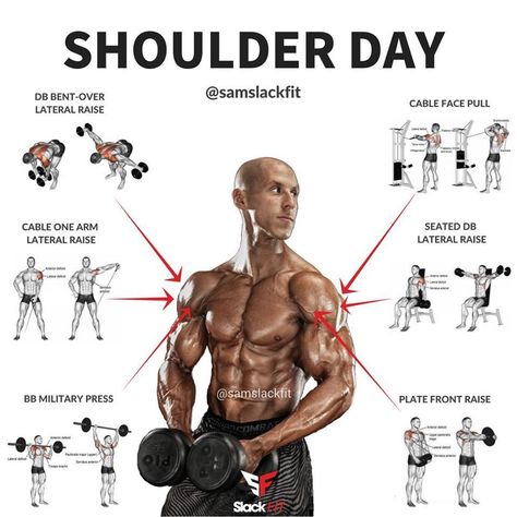 50s-N-Fit — sashacoki: Gym Workouts Best Shoulder Workout, Shoulder Workouts, Trening Fitness, Workout Chart, Chest Workouts, Workout Plan Gym, Biceps Workout, Chest Workout, Gym Workout Tips