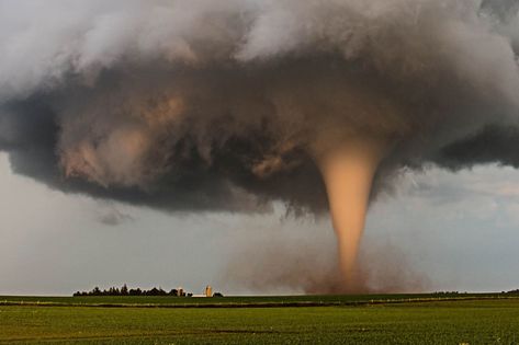 Real Tornado Pictures, Cyclone Images, Tornado Photography, Tornado Pictures, Supercell Thunderstorm, Storm Pictures, Tornado Damage, Tornado Alley, Storm Chasing