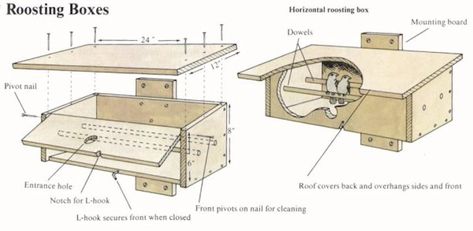 Squirrel Feeding Station, Bird House Plans Free, Homemade Bird Houses, Bird Houses Ideas Diy, Bird House Feeder, Bird House Plans, Nature Projects, Winter Birds, Decorative Bird Houses