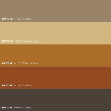 Rich Brown Saturated Color Palette • Download Free Adobe Illustrator Palette in .ase • #forecast #colorscheme #pantonecolors #trendforecasting #trendforecast #pantonecolor #fashionforecast #fashionforecaster #colortrends #colourschemes #patterncollection #colorpalettes #colorschemes #colourtrends #colourpallette #colortheory #colorwheel #colorinspiration #colourscheme #colorpalette #colourpalette #deepbrown #autumnbrown #browncolor Color Palette Pantone, Free Adobe Illustrator, Html Color Codes, Hazel Color, Pantone Colour Palettes, Brown Color Palette, Palette Art, Deep Autumn, Summer Color Palette