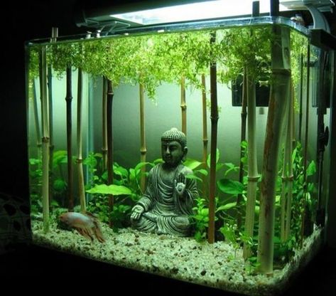 Fish? NO, Fsh Buddhism (no i) ☸️ Best Aquarium Filter, Aquascape Ideas, Aquarium Set, Amazing Aquariums, Cool Fish Tanks, Mini Aquarium, Aquarium Terrarium, Bawah Air, Diy Aquarium