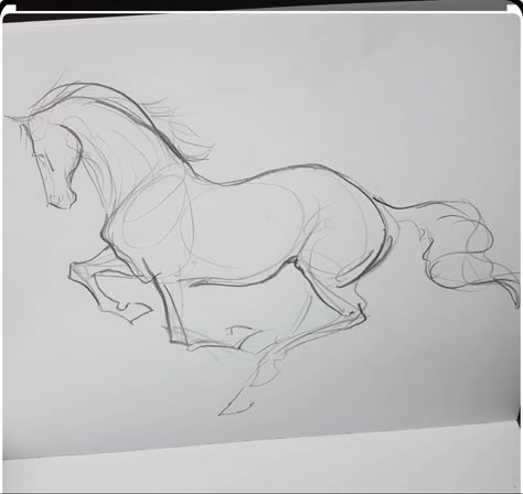 Horse Drawing Inspiration, Horse Drawings Pencil, Horse Drawing Tutorial, Horse Sketches, Horse Art Drawing, Horse Sketch, Fish Drawing, Animal Drawings Sketches, Drawing Hands