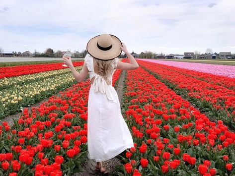 Tulip Fields Outfit, Amsterdam Tulip Fields Outfit, Amsterdam Aesthetic Outfit Spring, Tulip Field Outfit Ideas, Tulip Farm Outfit, Tulip Field Outfit, Amsterdam Spring Outfit, Amsterdam Outfit Spring, Tulip Garden Amsterdam