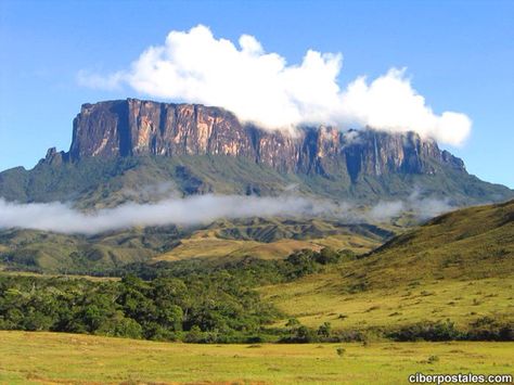 Roraima Monte Roraima, Amazing Places, Chester, Archaeology, Cool Places To Visit, Monument Valley, The Good Place, Nature Photography, Places To Visit