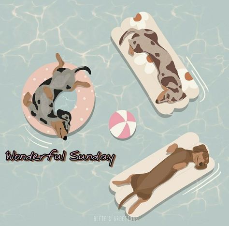 Daschund Drawing Illustration, Squishmallow Wallpaper, Dog Design Art, Doxie Mom, Dog Prints, Pool Art, Dog Swimming, Dachshund Art, Dog Cookies