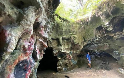 On the Dames Cave Trail in Florida, you can plunge to new depths and discover what lies beneath the surface. Hiking In Florida, Florida Trail, Florida Adventures, Florida State Parks, What Lies Beneath, Forest View, Visit Florida, Whole New World, Spring Trip