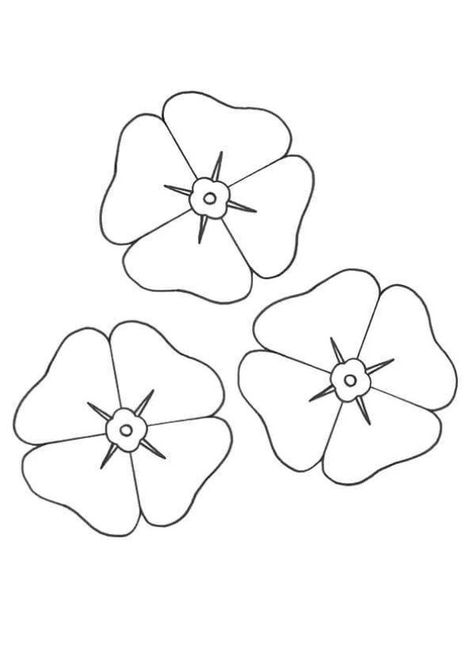 Poppy Flowers Coloring Pages - Printable Beautiful Poppy Coloring Pages Poppy Template, Remembrance Day Activities, Poppy Coloring Page, Remembrance Day Poppy, Sweet Pea Flowers, Poppy Color, Halloween Math, Free Coloring Sheets, Math Coloring