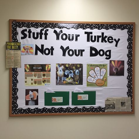 We used this board for thanksgiving at the clinic. It has computer generated images that have tips for keeping pets safe during the holiday and explains the reasons why they can't have a ton of table scraps and other extras. I also made little pockets out of folders and put recipes for homemade regular dog treats and homemade vegan dog treats! #vegandogtreats #homemadedogtreats #bulletinboard #vetmed #veterinarymedicine Vet Clinic Halloween Decor, Vet Office Ideas, Vet Clinic Decor, Vet Science, Veterinary Humor, Veterinary Office, Veterinary Tech, Puppy Crafts, Vet Life