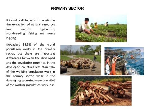 Primary Sector Primary Sector, Primary Sources Examples, Pgce Primary Tips, Primary Sources Activities, Economics Notes, Ap Human Geography, Agricultural Sector, Primary Research, Human Geography