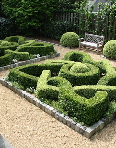 Formal Boxwood Garden Designs | formal boxwood gardens topiary planters mixing boxwood cultivars ... Maze Garden, Privacy Fencing, Formal Garden Design, Parterre Garden, Boxwood Garden, Topiary Garden, Formal Garden, Garden Aesthetic, Classic Garden